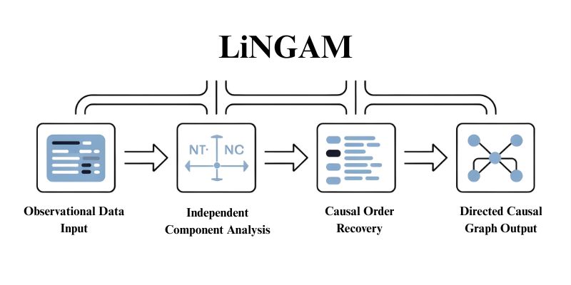 How LiNGAM Works Conceptually