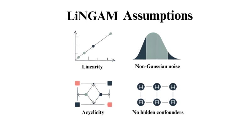 Key Assumptions and Why They Matter