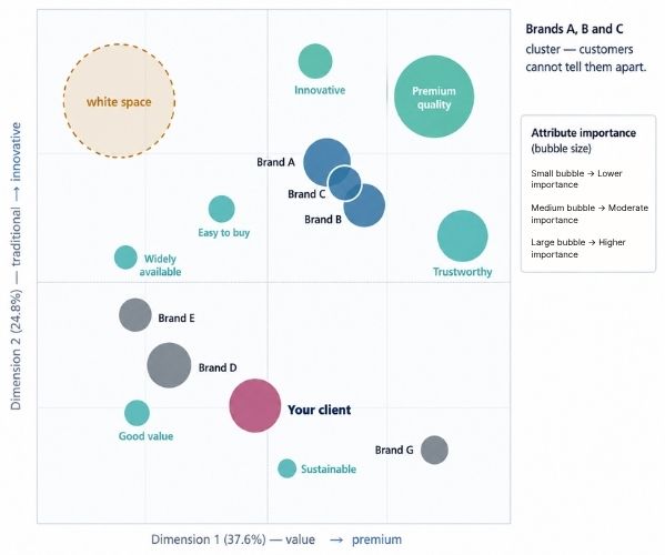 Perceptual Map-1